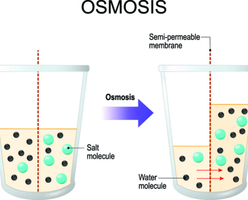 Containerized Reverse Osmosis Systems