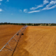 texas water scarcity