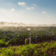 reclaimed water treatment for agriculture