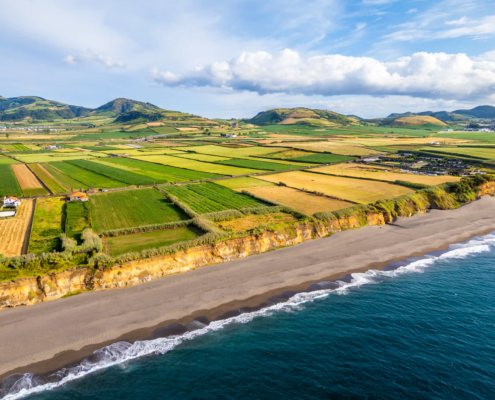 Can Seawater Be Used for Farming