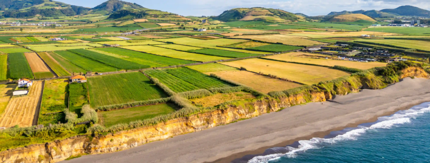 Can Seawater Be Used for Farming