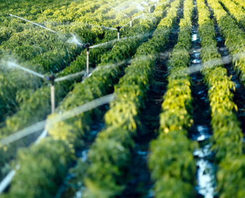 Best Agriculture Water Filtration Systems