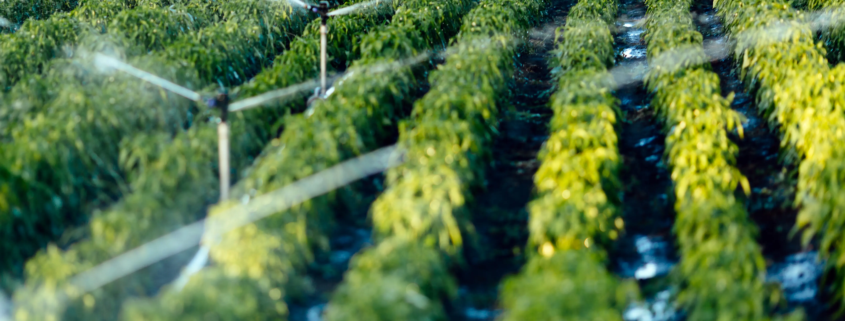 Best Agriculture Water Filtration Systems